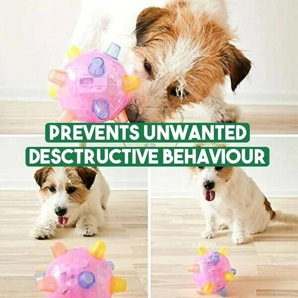 Interactive Bouncing Ball for Playful Dogs