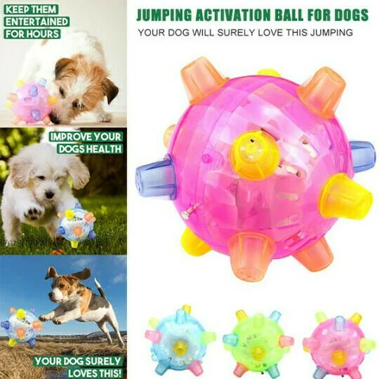 Interactive Bouncing Ball for Playful Dogs