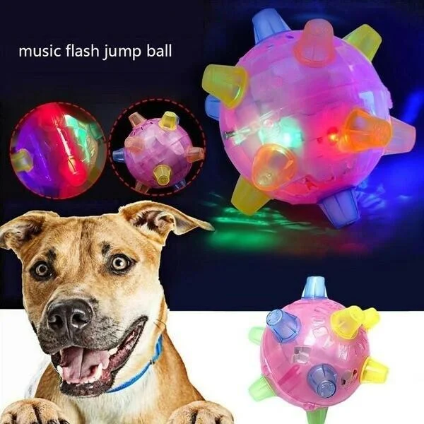 Interactive Bouncing Ball for Playful Dogs