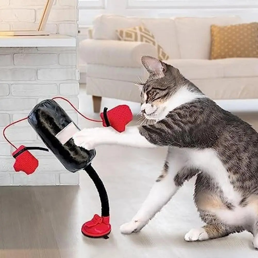 Interactive Playset for Cats with Spring Action