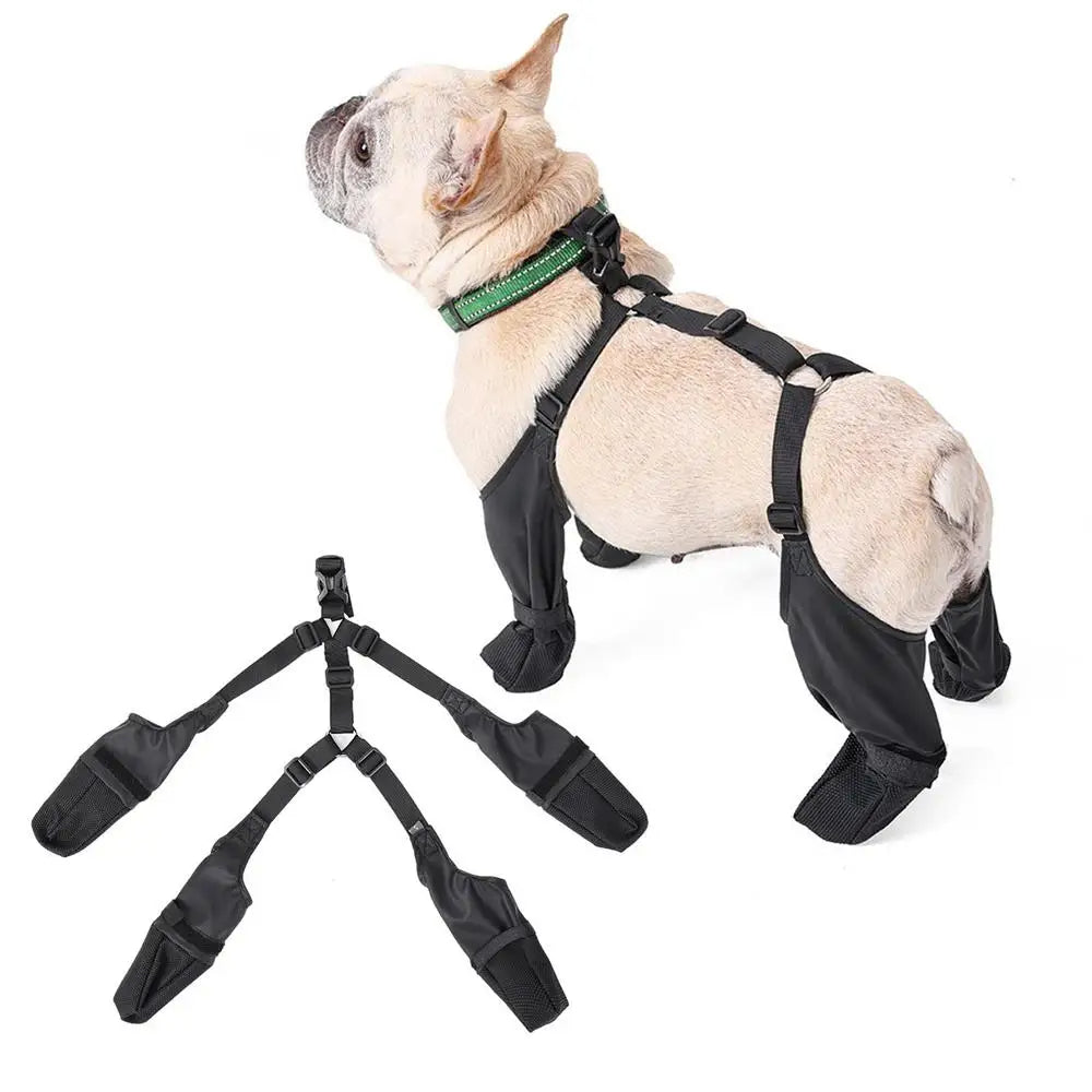 Comfort-Fit Outdoor Canine Booties