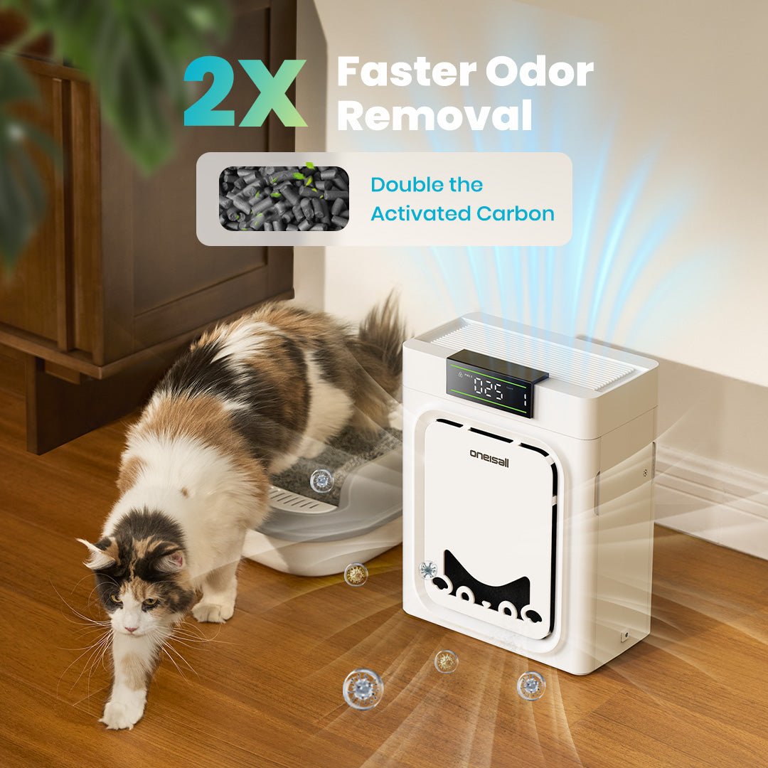 HydroPaw 10L Pet Water Dispenser – 2.6 Gallon Stainless Steel Fountain