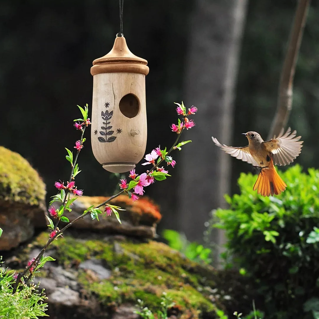 Charming Hummingbird Haven - Perfect for Nature Enthusiasts