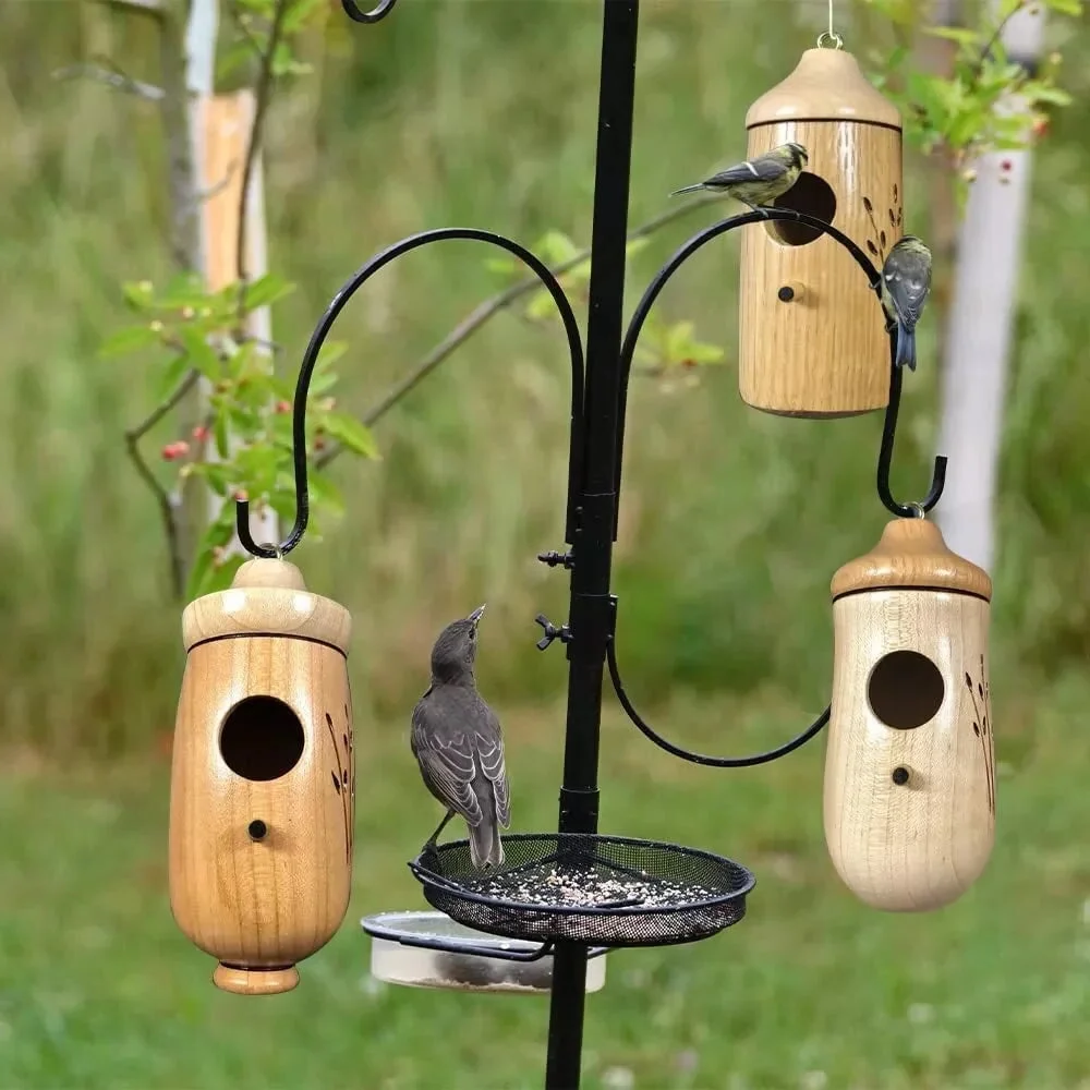 Charming Hummingbird Haven - Perfect for Nature Enthusiasts