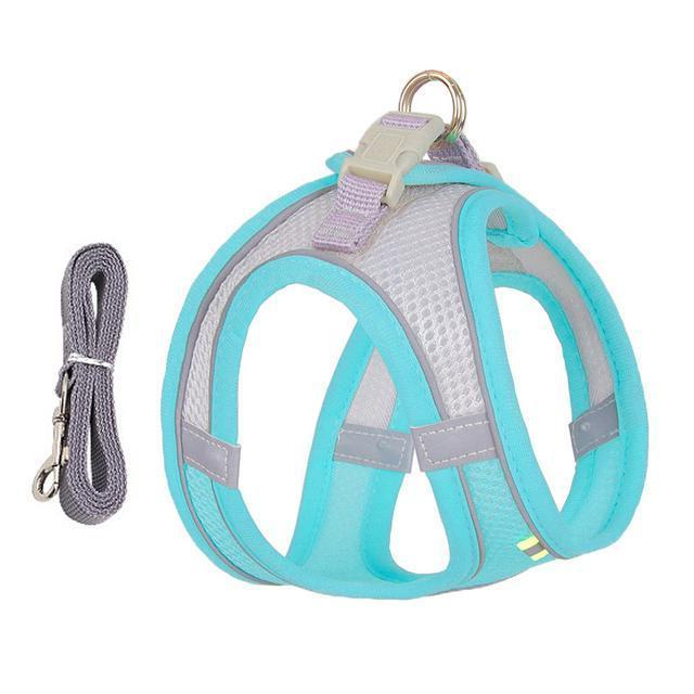 Comfort Fit Harness and Leash Bundle for Small Pets