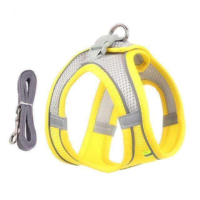 Comfort Fit Harness and Leash Bundle for Small Pets
