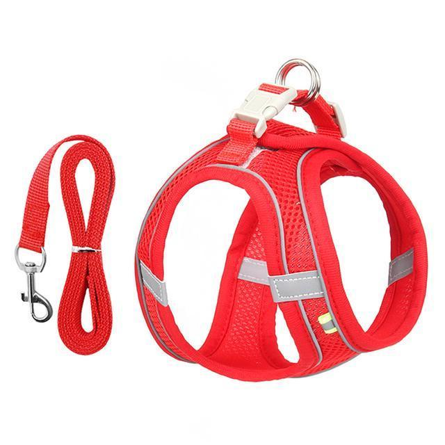 Comfort Fit Harness and Leash Bundle for Small Pets
