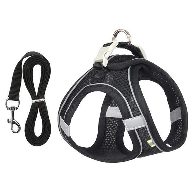Comfort Fit Harness and Leash Bundle for Small Pets