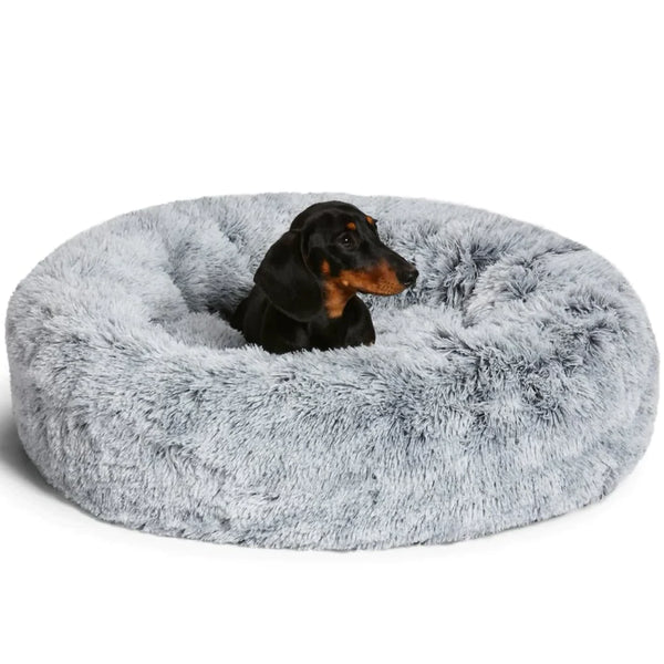 Serene Pet Haven Bed