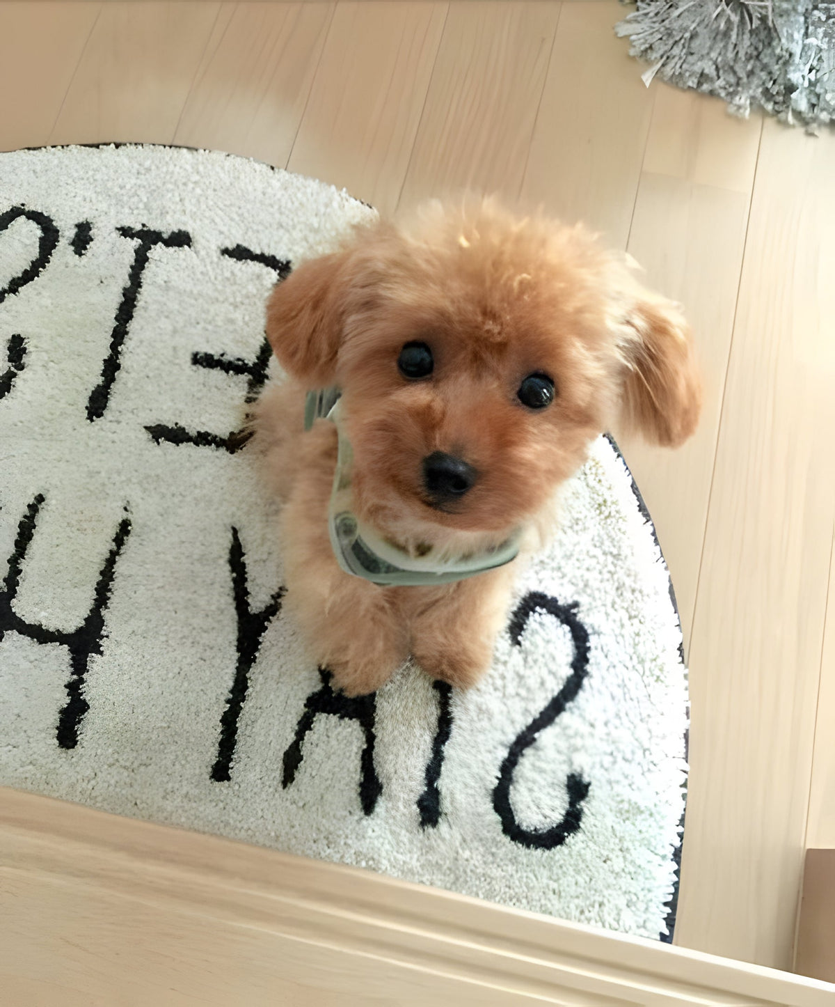 Lifelike Plush Puppy Companion | Cuddly Canine Friend