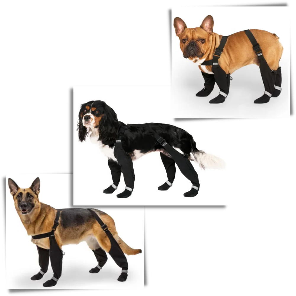 All-Weather Dog Support Boots with Adjustable Fit