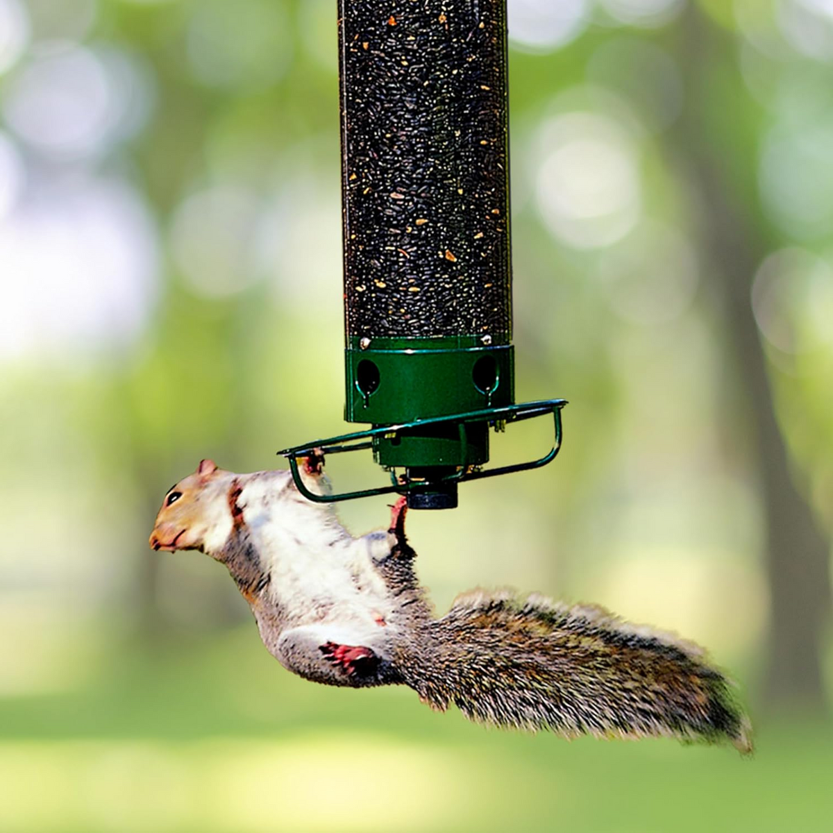 CritterGuard Outdoor Bird Feeder – Weather-Resistant & Easy-Clean Design