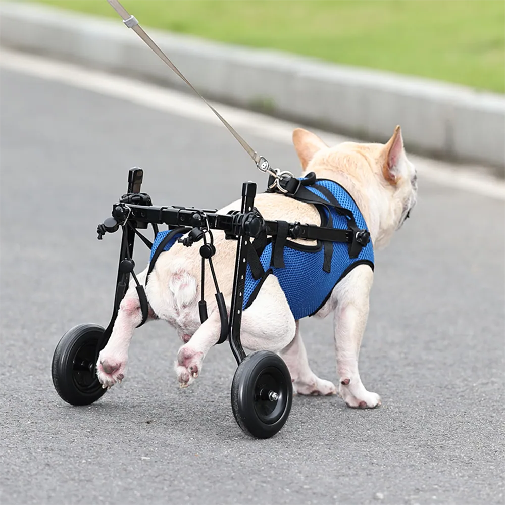 Adjustable Pet Mobility Aid for Disabled Dogs and Cats