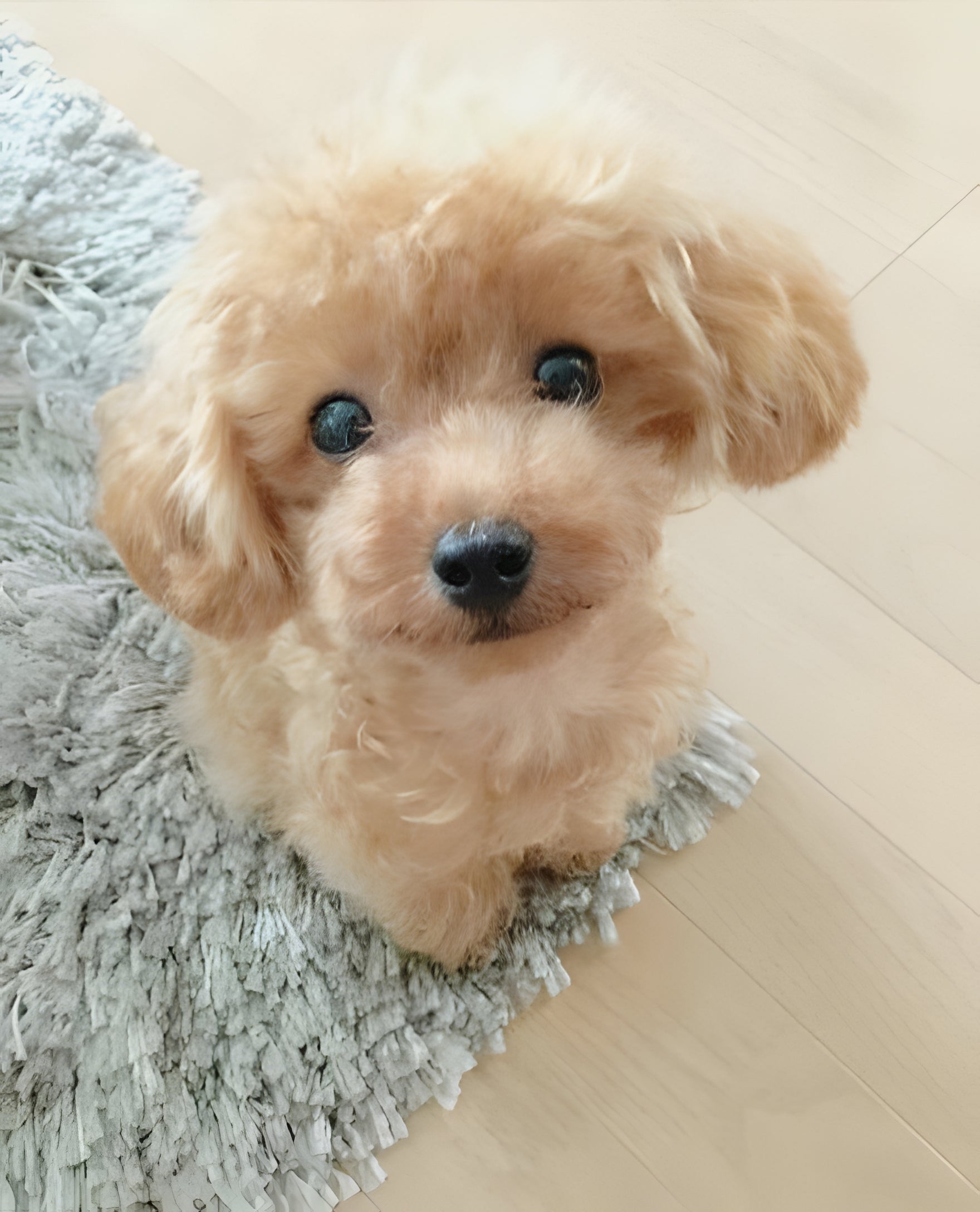 Lifelike Plush Puppy Companion | Cuddly Canine Friend
