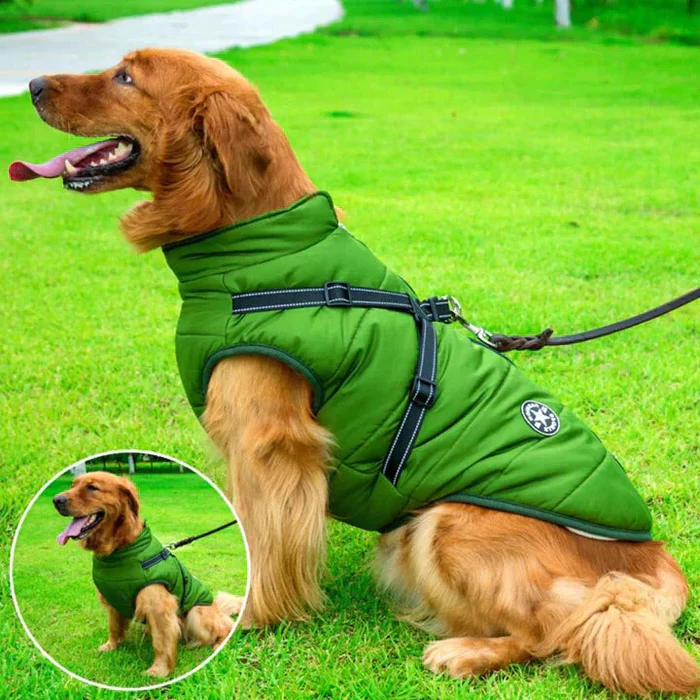 Ultimate Waterproof Dog Coat - Insulated for Winter Comfort