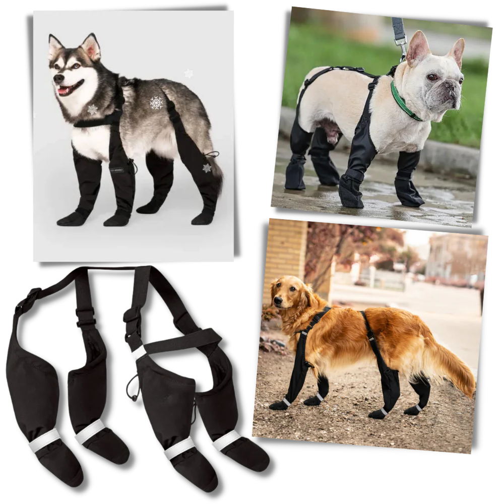 All-Weather Dog Support Boots with Adjustable Fit