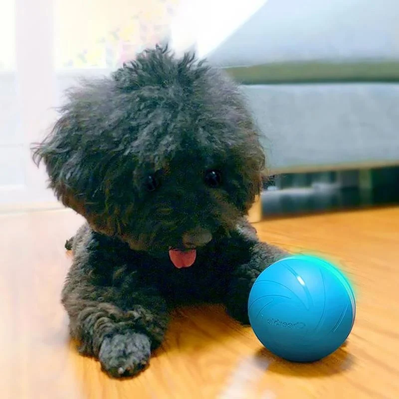 Interactive Pet Play Sphere for Endless Fun