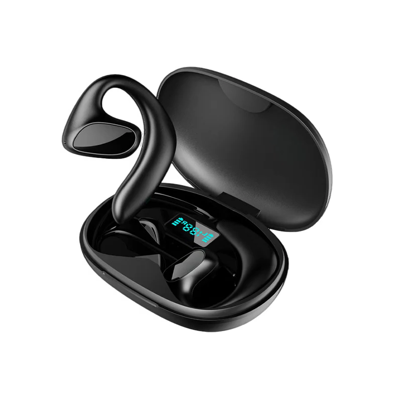 Language Bridge Wireless Earbuds
