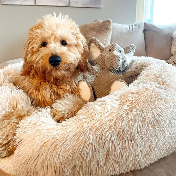 Serene Pet Haven Bed