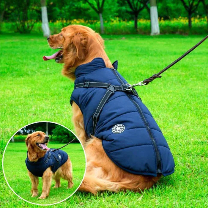 Ultimate Waterproof Dog Coat - Insulated for Winter Comfort