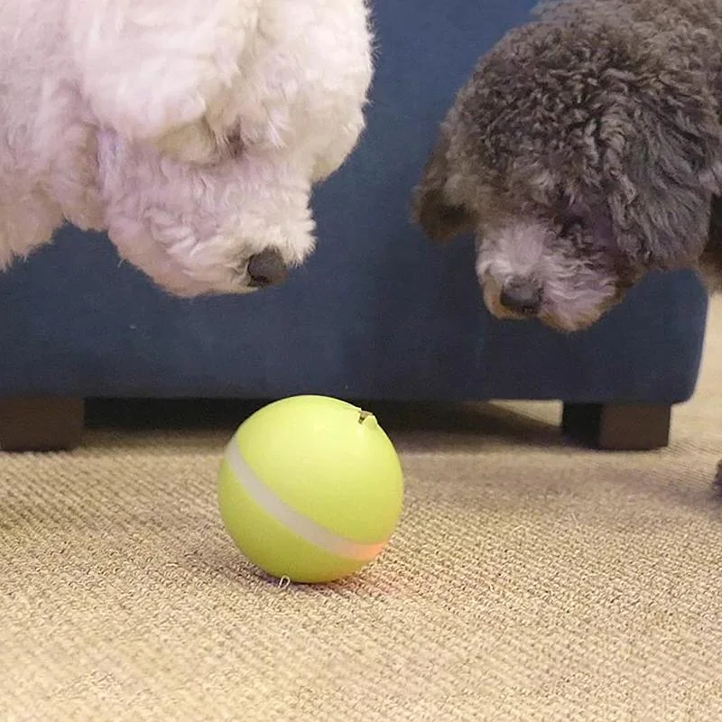 Interactive Pet Play Sphere for Endless Fun