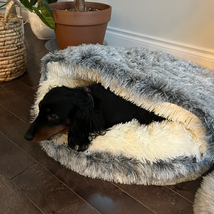 Plush Retreat Pet Bed for Dogs and Cats - Ultimate Comfort