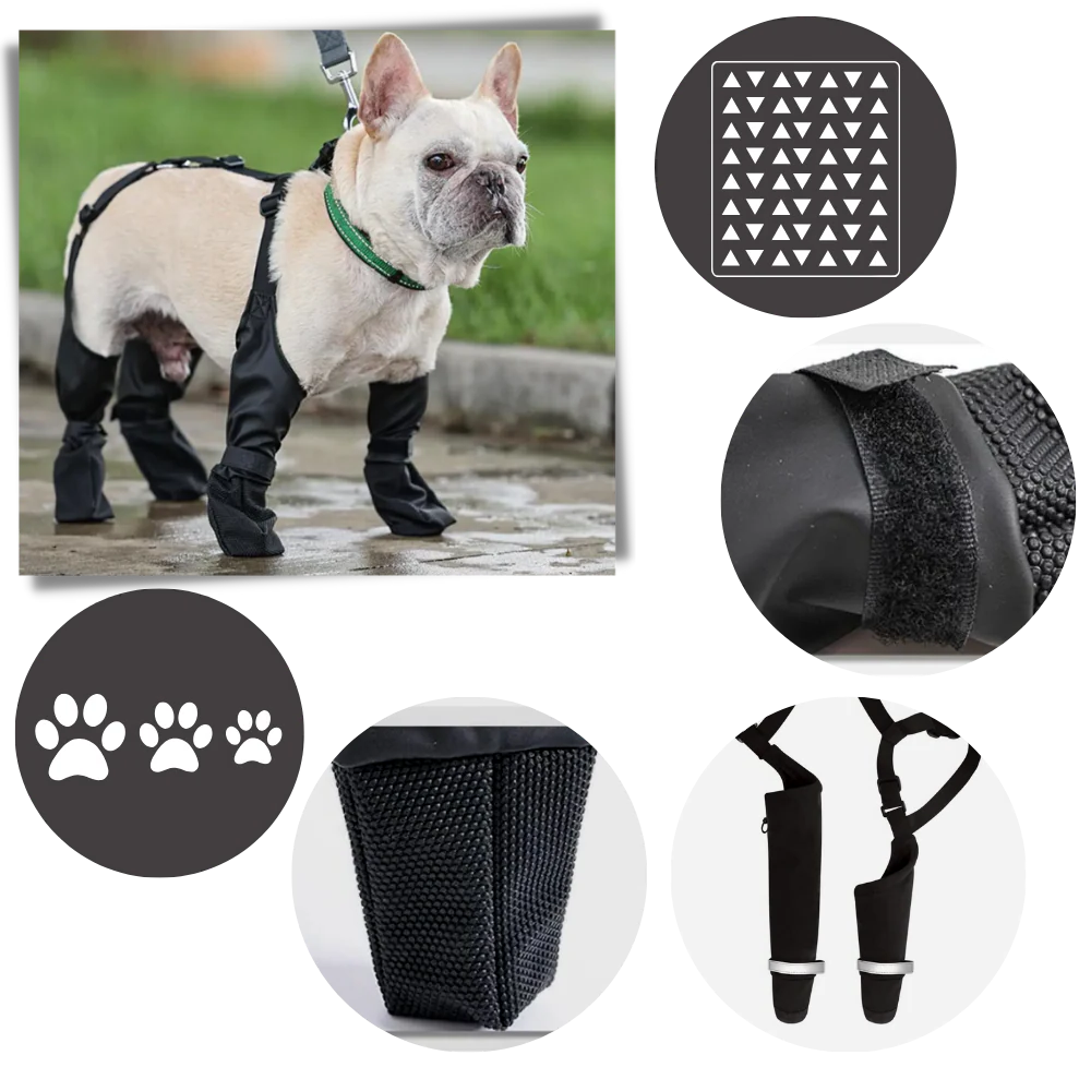 All-Weather Dog Support Boots with Adjustable Fit