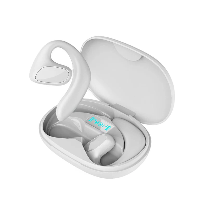 Language Bridge Wireless Earbuds