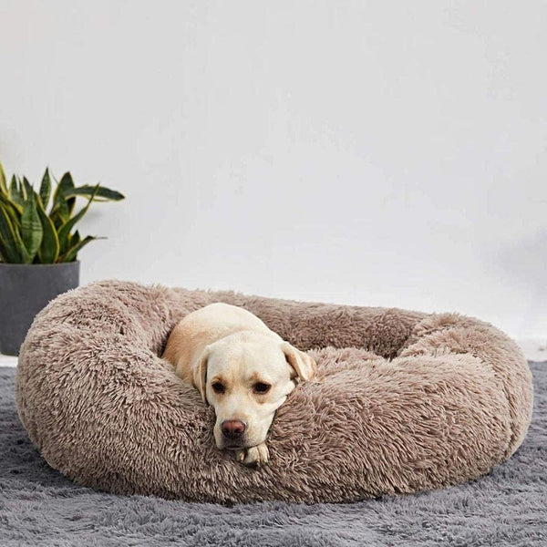 Serene Pet Haven Bed