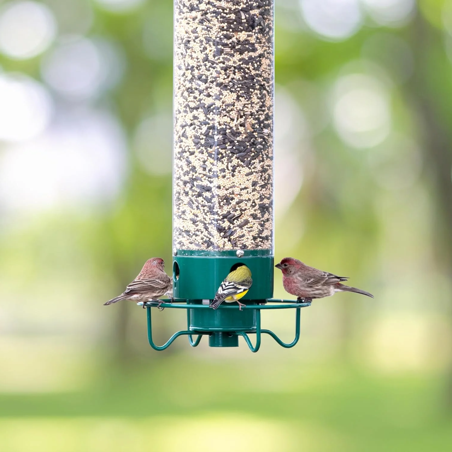 CritterGuard Outdoor Bird Feeder – Weather-Resistant & Easy-Clean Design