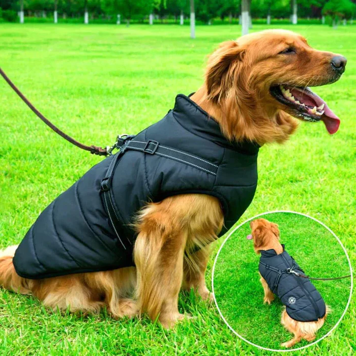 Ultimate Waterproof Dog Coat - Insulated for Winter Comfort