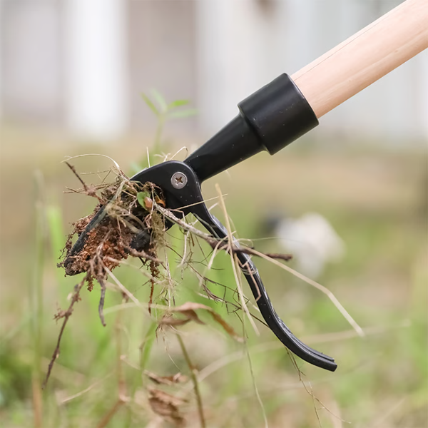 ErgoWeed Remover: Stand Tall, Pull Weeds with Ease