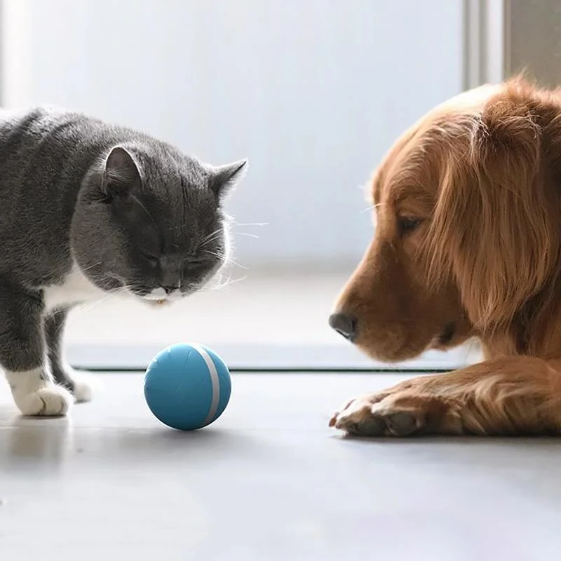 Interactive Pet Play Sphere for Endless Fun