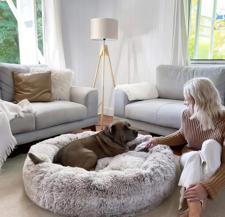 Serene Pet Haven Bed