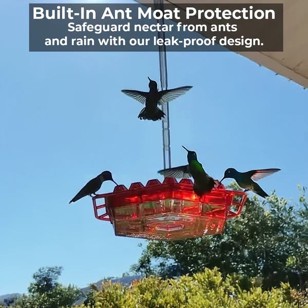 Weather-Resistant Hummingbird Feeder with 30 Nectar Ports