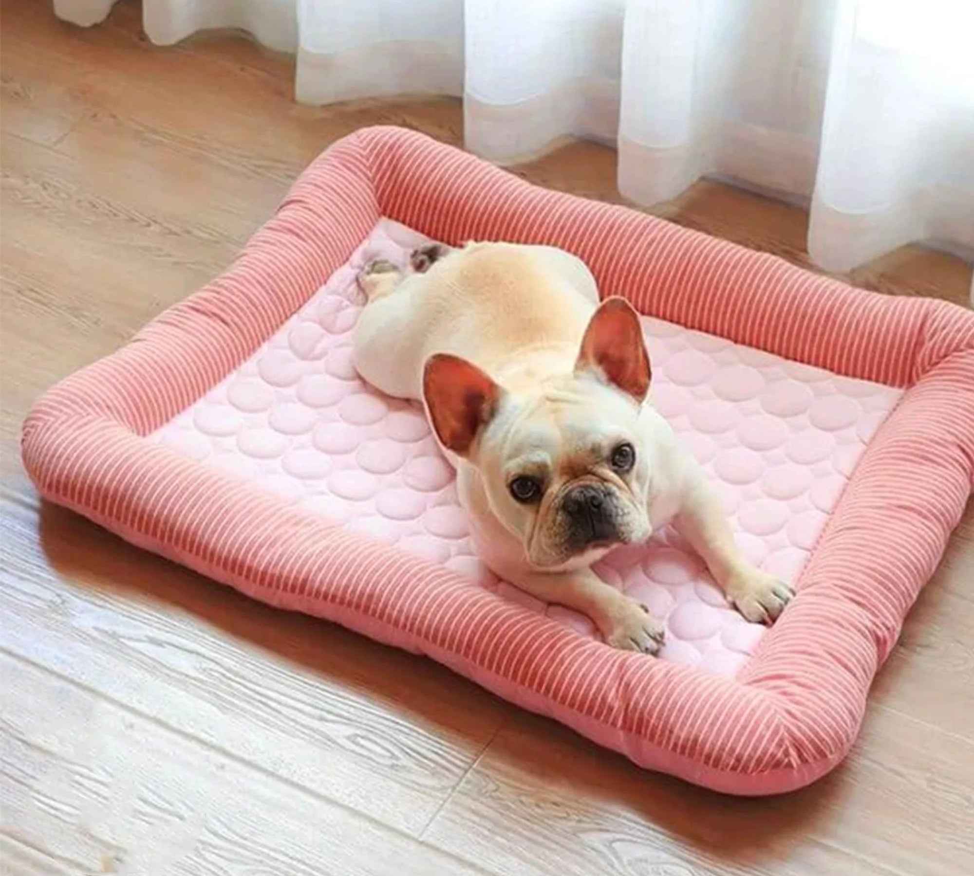 ChillPaws Cooling Pet Bed with Breathable Fabric