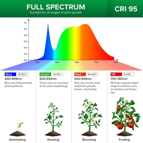 Versatile LED Grow Light for Indoor Plant Growth