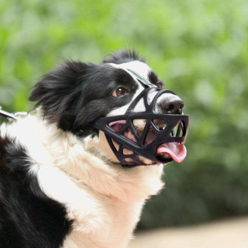 Canine Comfort Muzzle – Adjustable Mesh Design for Easy Breathing