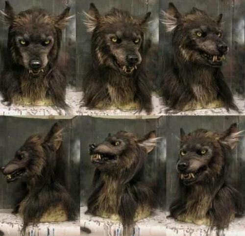 Fierce Werewolf Mask - Perfect for Costume Events and Parties