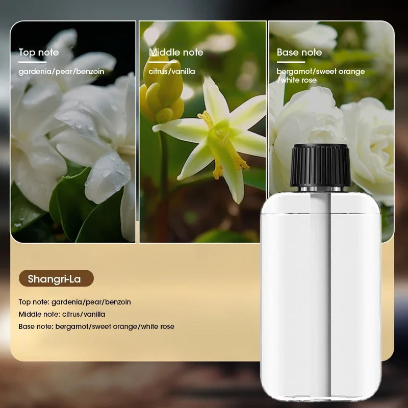 Versatile Aroma Diffuser with Multiple Mist Settings