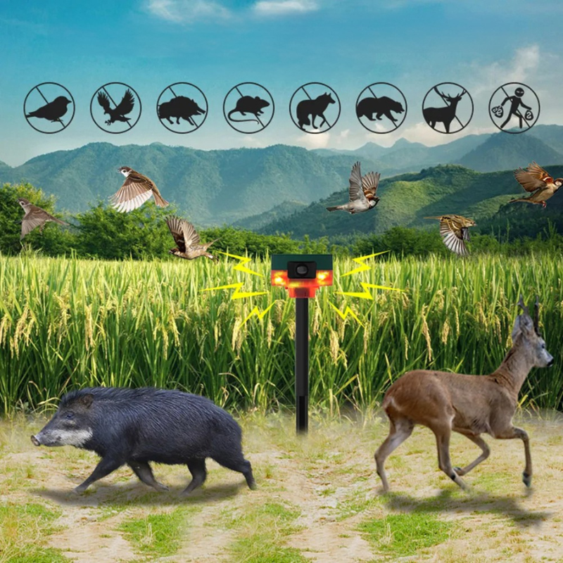 Solar-Powered Wildlife Deterrent with Flashing Lights