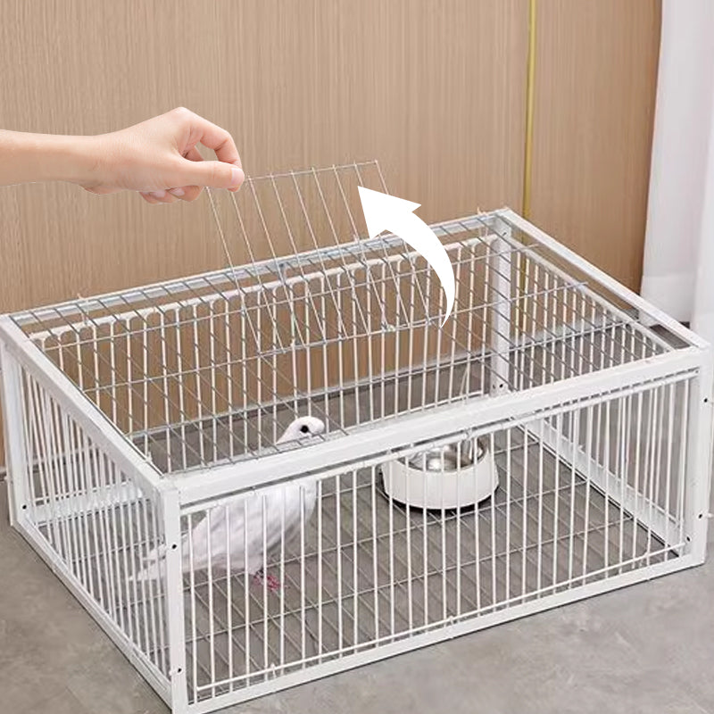 Humane Bird Trap with Anti-Backlash Feature – Safe for Wildlife