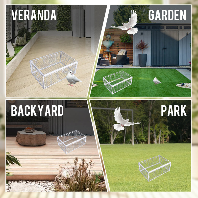 Humane Bird Trap with Anti-Backlash Feature – Safe for Wildlife