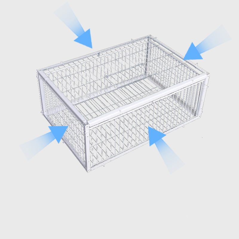 Humane Bird Trap with Anti-Backlash Feature – Safe for Wildlife