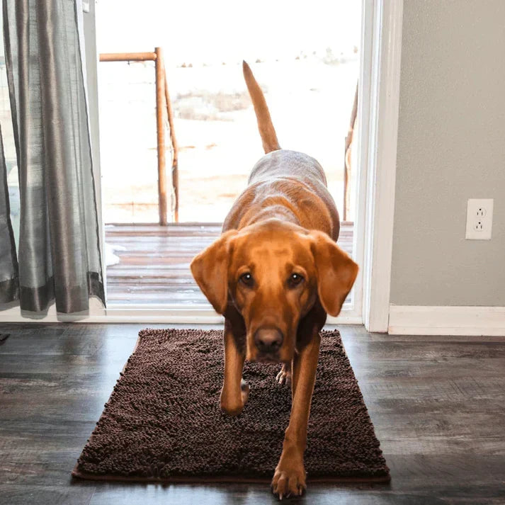 Absorbent Dog Floor Mat for Easy Cleanup – Paw Protection