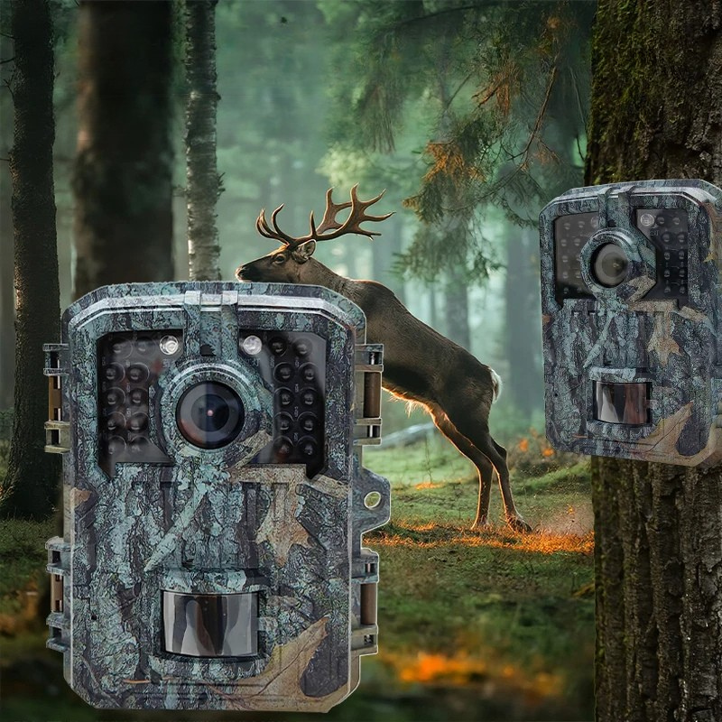 Compact 16MP Wildlife Camera with Infrared Motion Detection