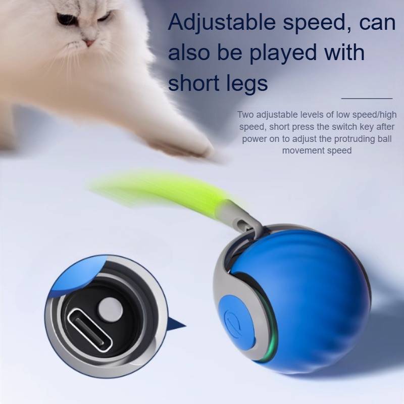 Engaging Motion Ball for Indoor Cats