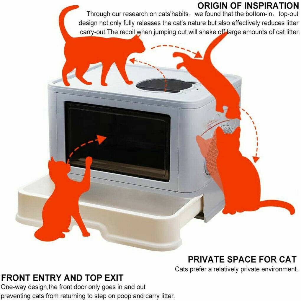 Smart Cat Litter Solution for a Clean Home