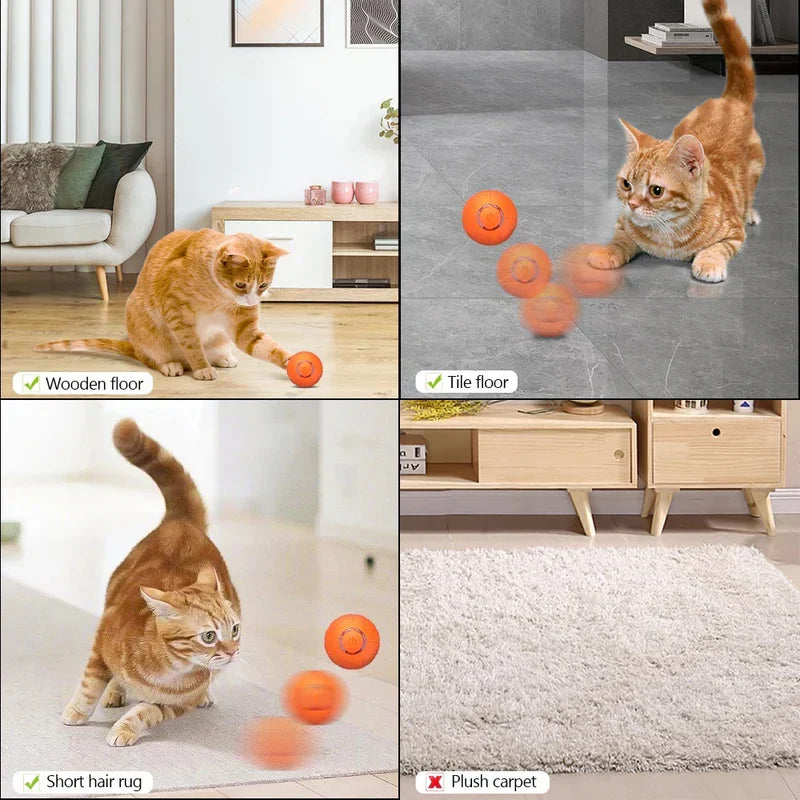 Interactive Feline Play Sphere (Limited Edition)